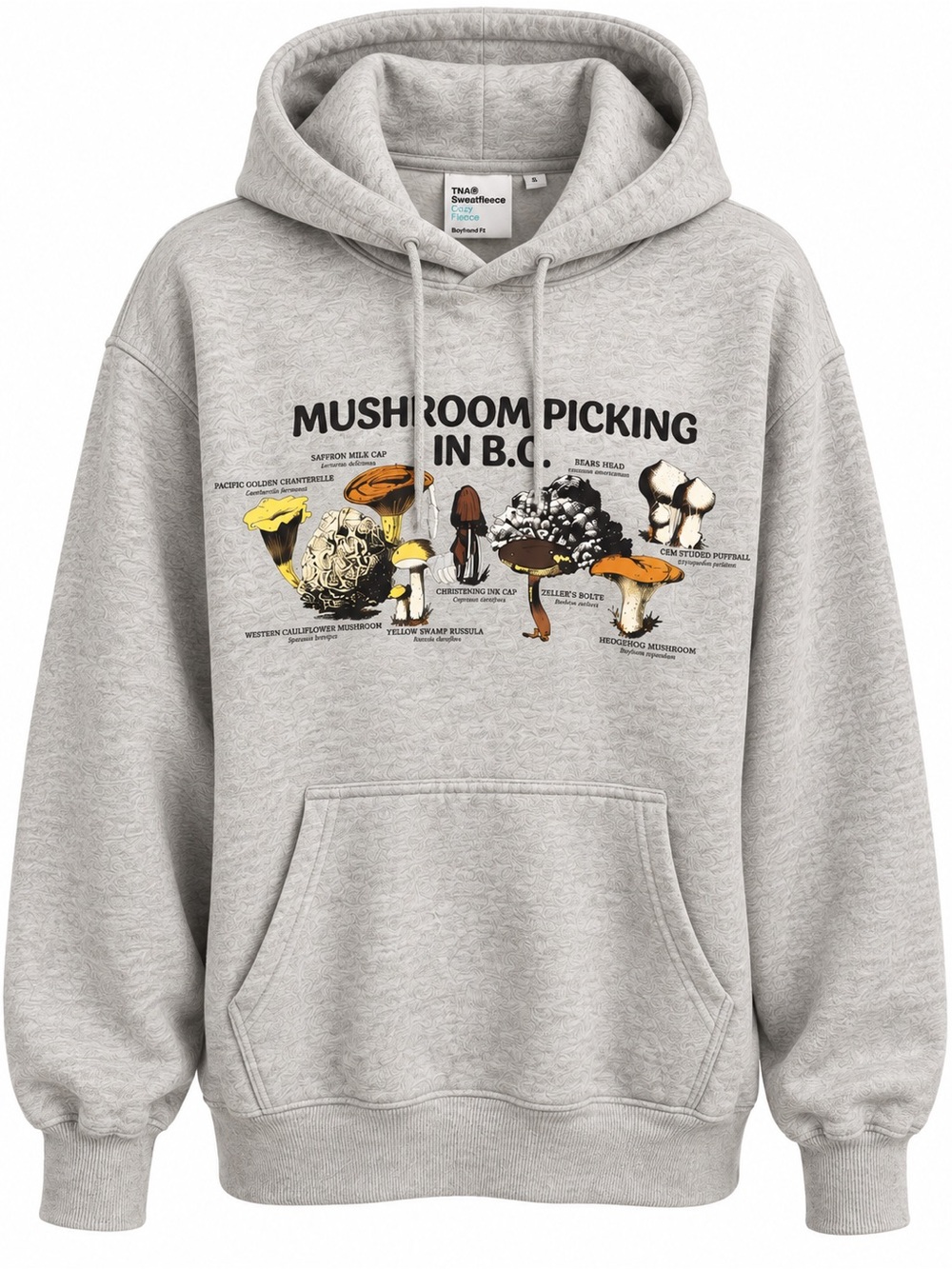 Aritzia TNA Cozy Fleece Boyfriend Hoodie Mushroom Picking BC Grey S